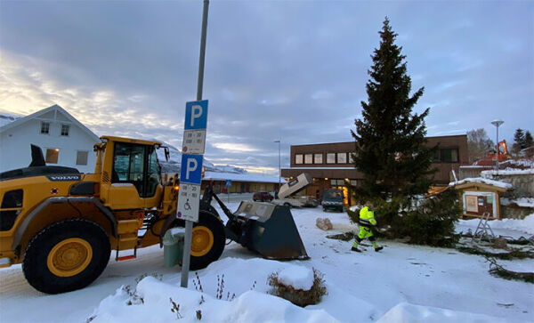 Nå er julegrana reist