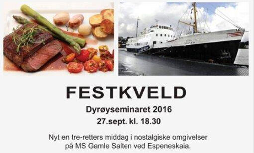 Kveldsfest på Espenes