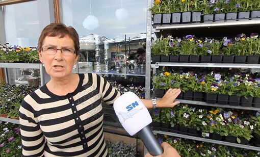 Tid for hagearbeid