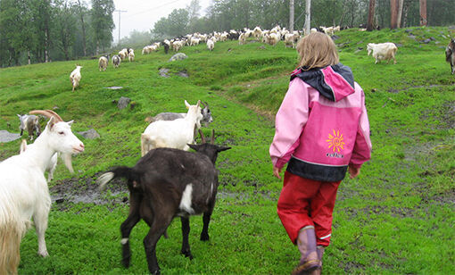 Gøy på Haugvang