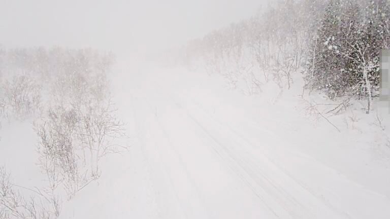 E6 Gratangfjellet. Snøfokk, flere skred og stor fare for nye skred gjør det svært utfordrende på veiene i Troms. Fylkeskommunen jobber døgnet rundt for å sikre veier og kollektivtrafikk.
Foto: Statens vegvesen / NTB
 Foto: Statens vegvesen/NTB