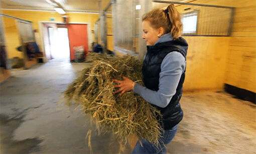 - Hest er min interesse