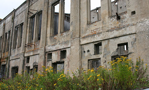 Samler historiske bilder