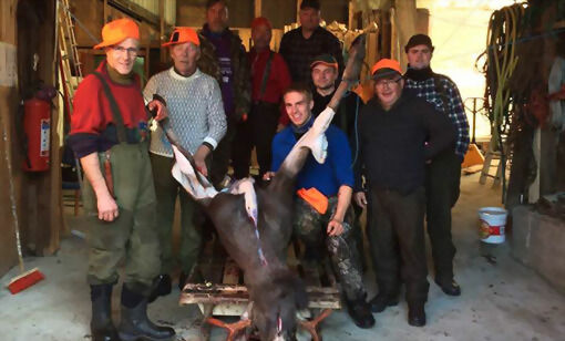 Lars Kai Nordmo og hans jaktlag har i dag startet årets elgjakt. - Jeg ser virkelig frem til jakta i år. I fjor var jeg syk på dette tidspunktet, sier Nordmo. FOTO: PRIVAT