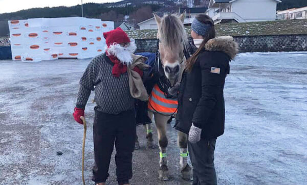 Nissen kom i år også!