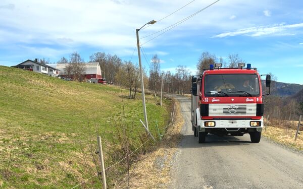 Fire kyr gikk igjennom gulvet